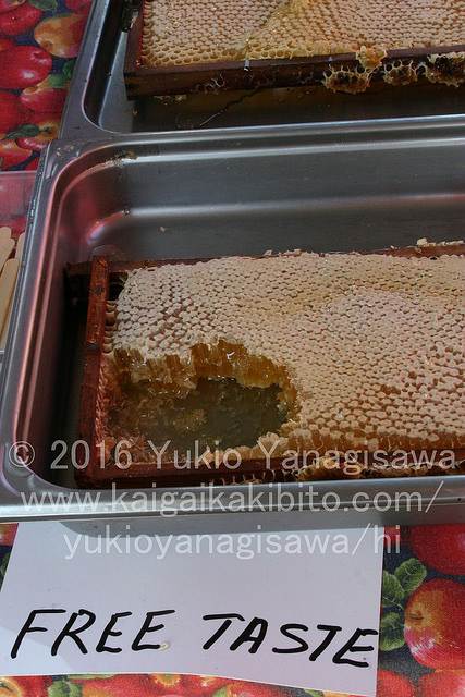 ハチミツの詰まった蜂の巣