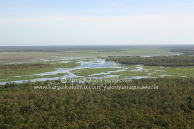 遊覧飛行からの風景。緑と水