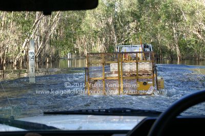 完全に冠水している道路。脇に水深を図る柱が見える