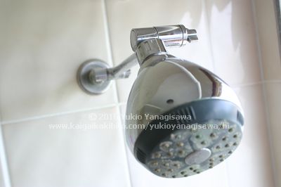 シャワーヘッドの写真