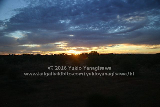 車窓からの夕景