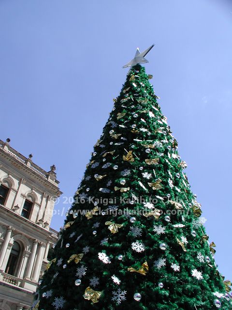 オーストラリアの昼間のクリスマスツリー