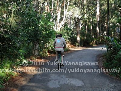 自転車