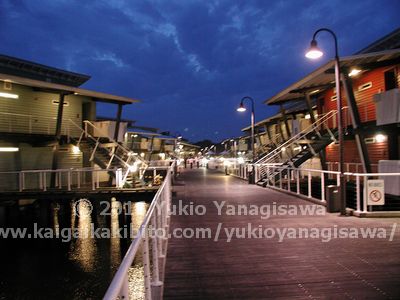 クーランコーブの夜の風景