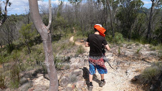 ホワイトロックへの登山道