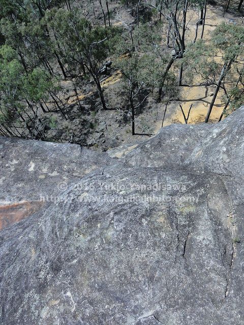ホワイトロックの頂上から下を見たところ
