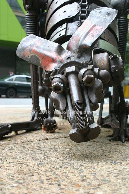 カンガルーの作品