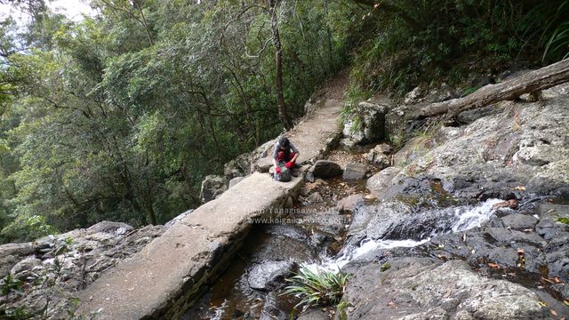 Goomoolahra Falls