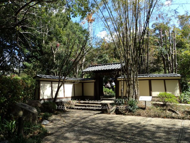 日本庭園の門