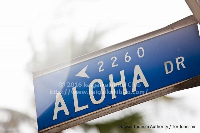 aloha driveの道路標示