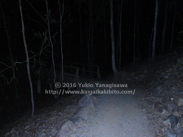 マウントクーサのハニーイータートラック
