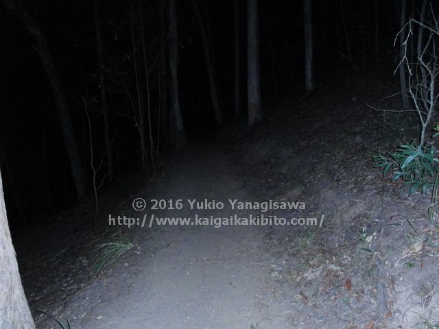 マウントクーサのハニーイータートラック