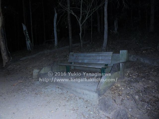 マウントクーサのハニーイータートラックのベンチ