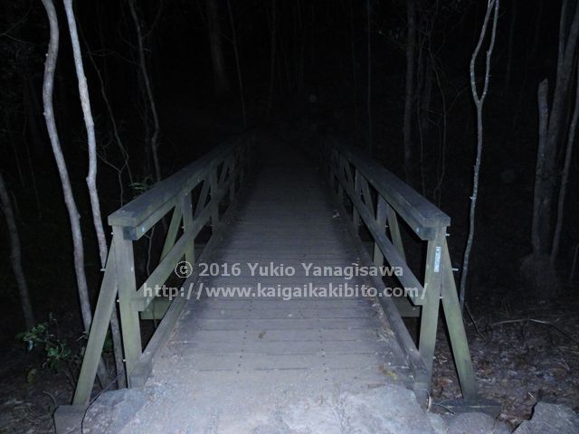 マウントクーサのハニーイータートラックの橋
