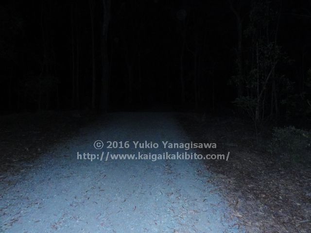 マウントクーサのハニーイータートラック