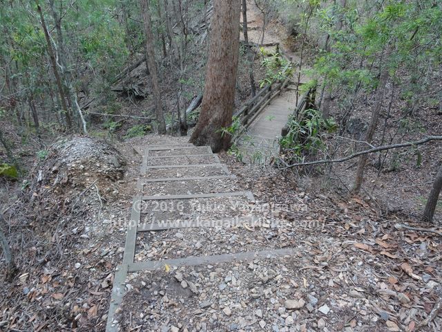 mount-gravatt-federation-track-bridge-2