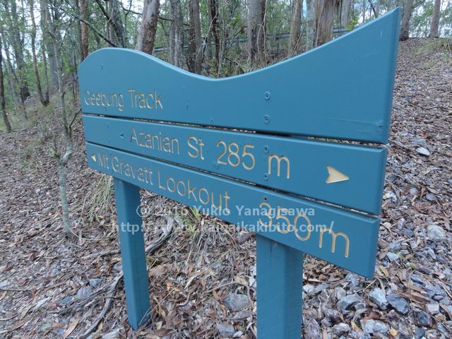 フェデレーショントラックの看板