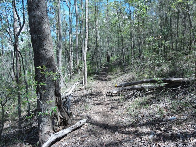 マウントグラバットの名もなき登山道