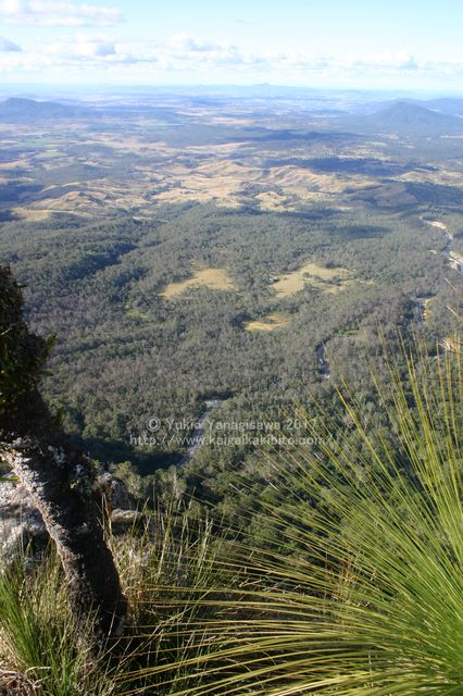 マウントミッチェル山頂からの眺め