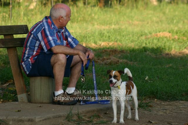 犬