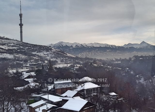 カザフスタンの冬景色