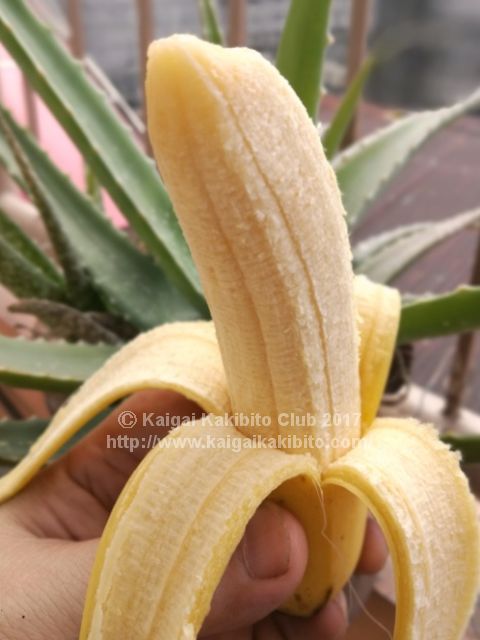 ラカタンを剥いたところ
