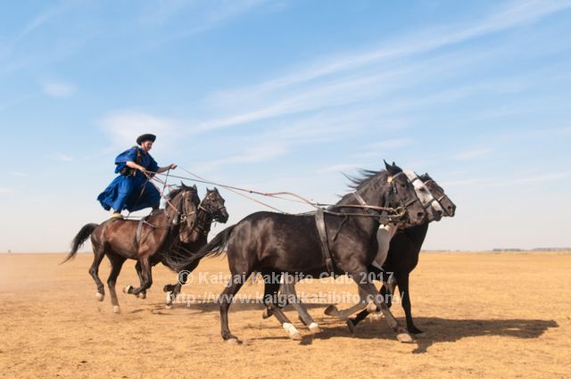 ハンガリーの大平原で見ることのできる馬術ショー