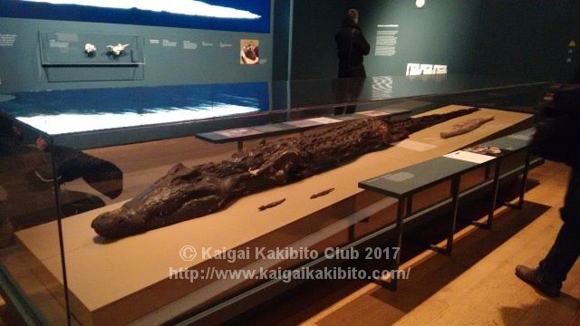 大英博物館朝日新聞社展示室