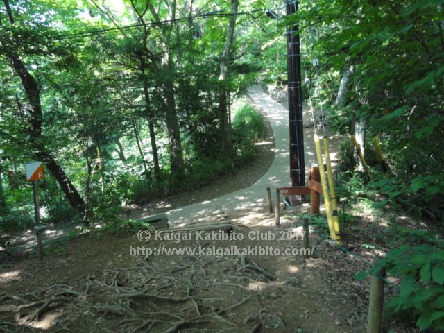 高尾山いろはの森コース終点