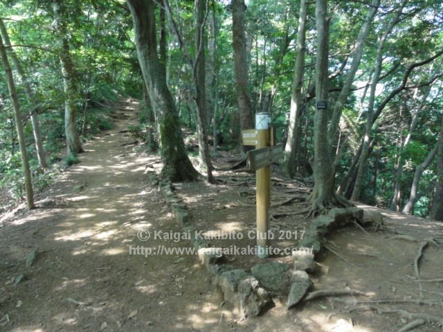 高尾山4号路といろはの森コースの分岐点