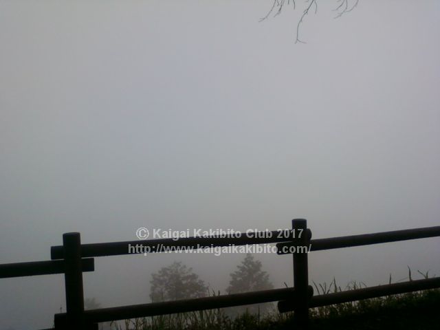 高尾山と陣馬山縦走ルートの霧