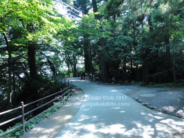 高尾山1号路