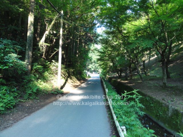 高尾山1号路スタート地点付近