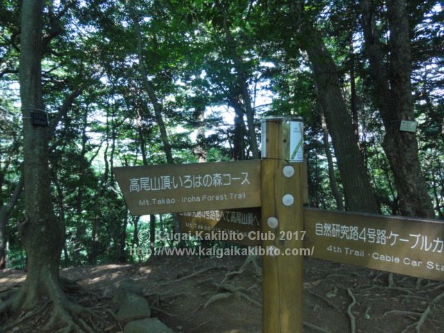 高尾山4号路といろはの森コースの分かれ道