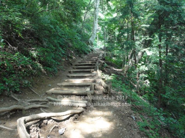 高尾山4号路階段