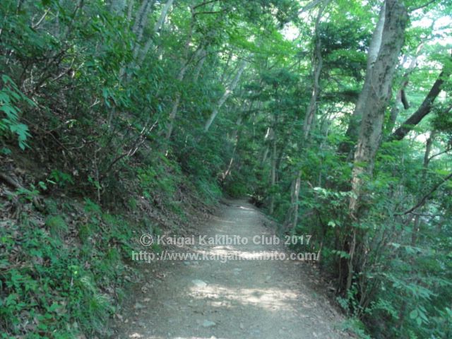 高尾山4号路