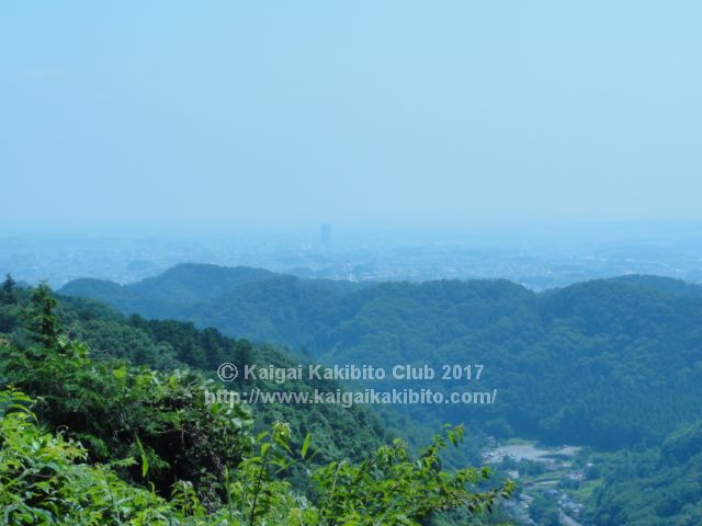 稲荷山からの眺め