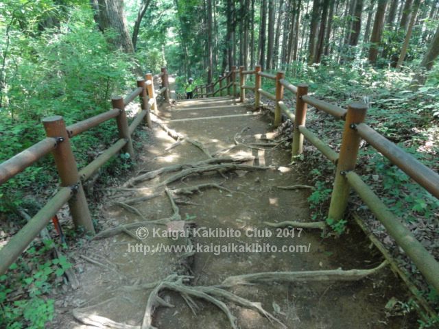 高尾山　稲荷山コース