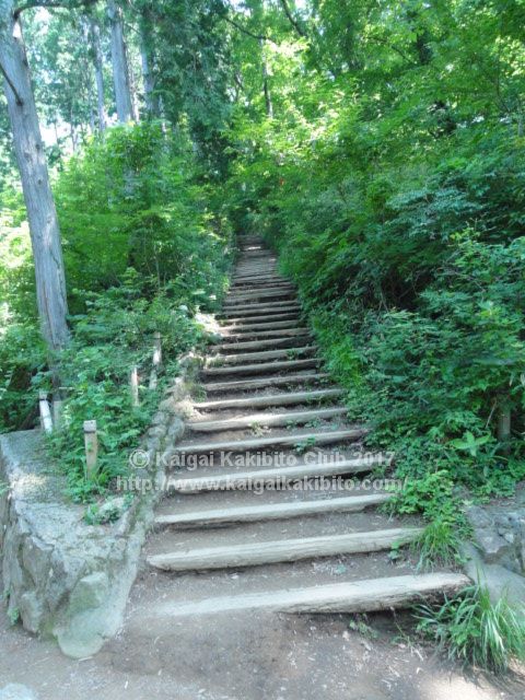 高尾山稲荷山コースの階段
