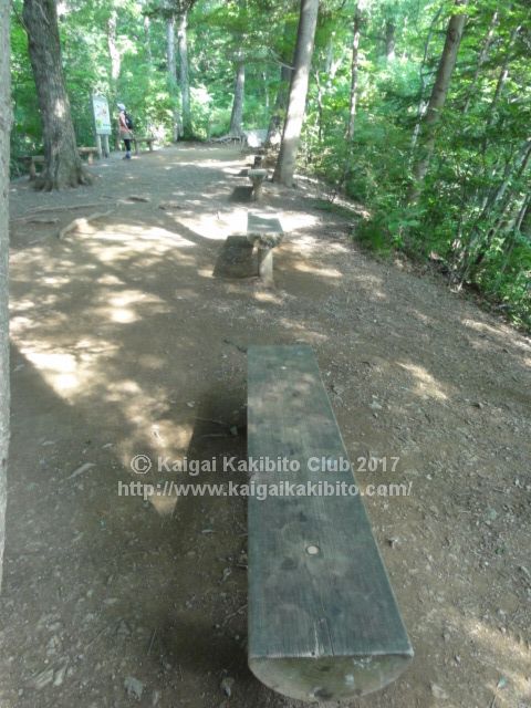 高尾山6号路のベンチ