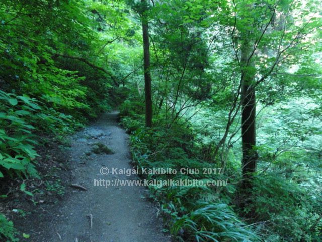 高尾山6号路
