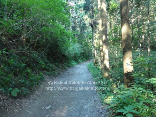 高尾山6号路