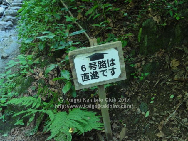 高尾山6号路の看板