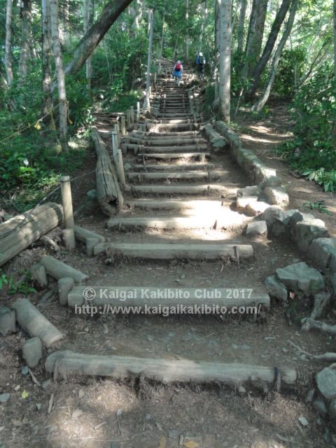 高尾山6号路の階段