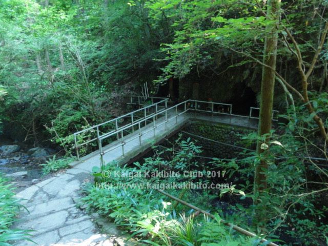 高尾山6号路　びわ滝への寄り道