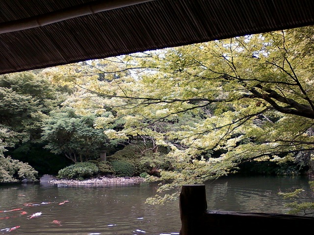 八芳園