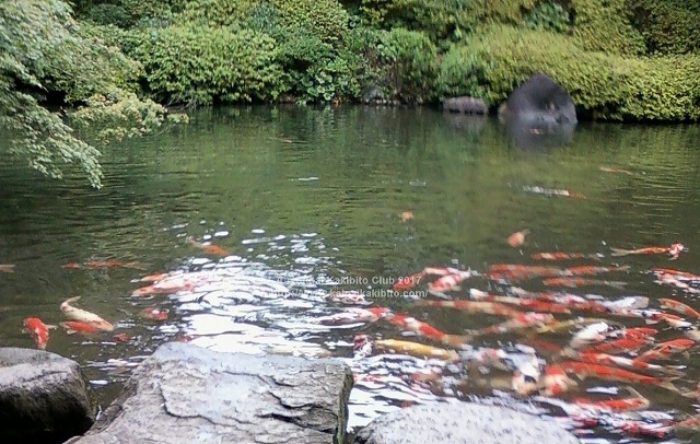 八芳園
