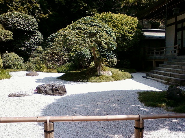 報国寺