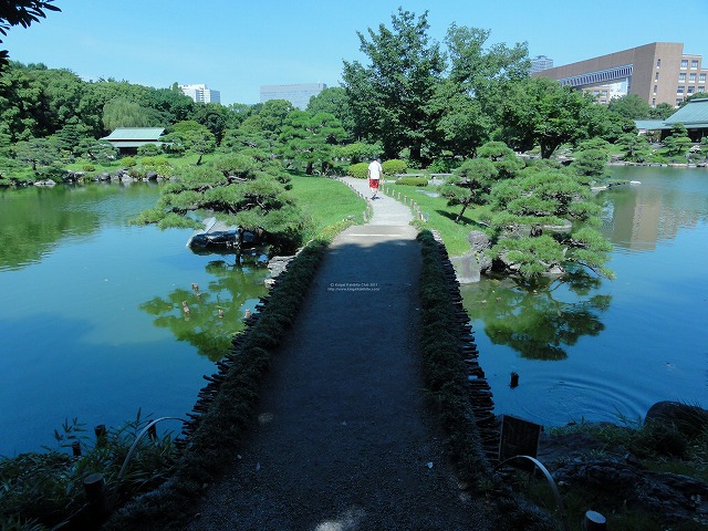 清澄庭園