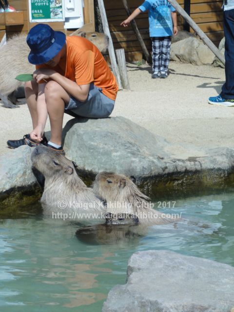 那須動物王国